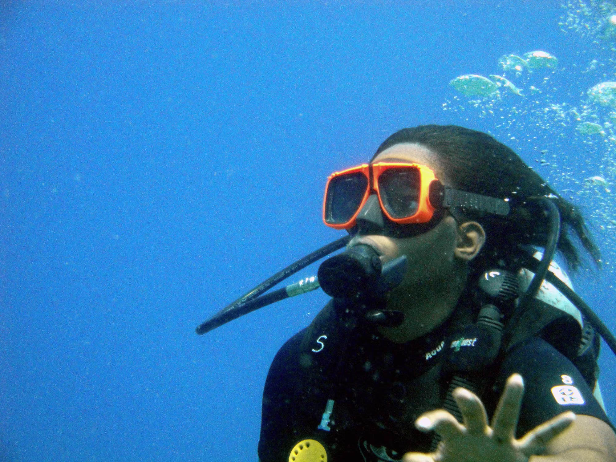 Diving into the Depths: An Exploration of Underwater Adventure