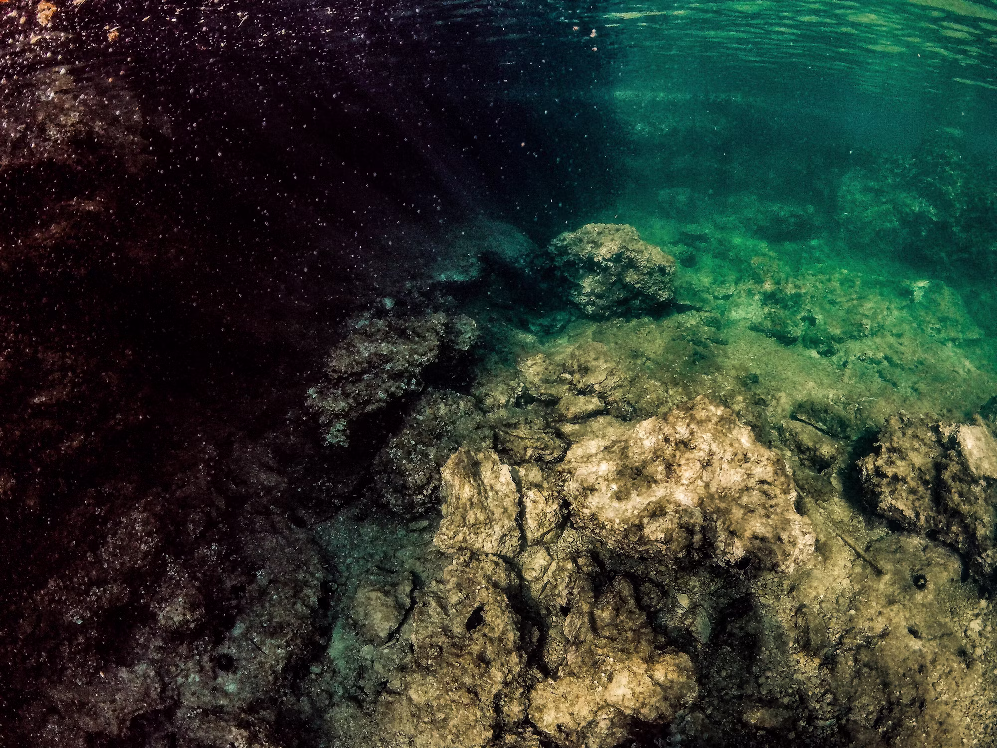 Discovering the Underwater World: A Guide to Diving Adventures