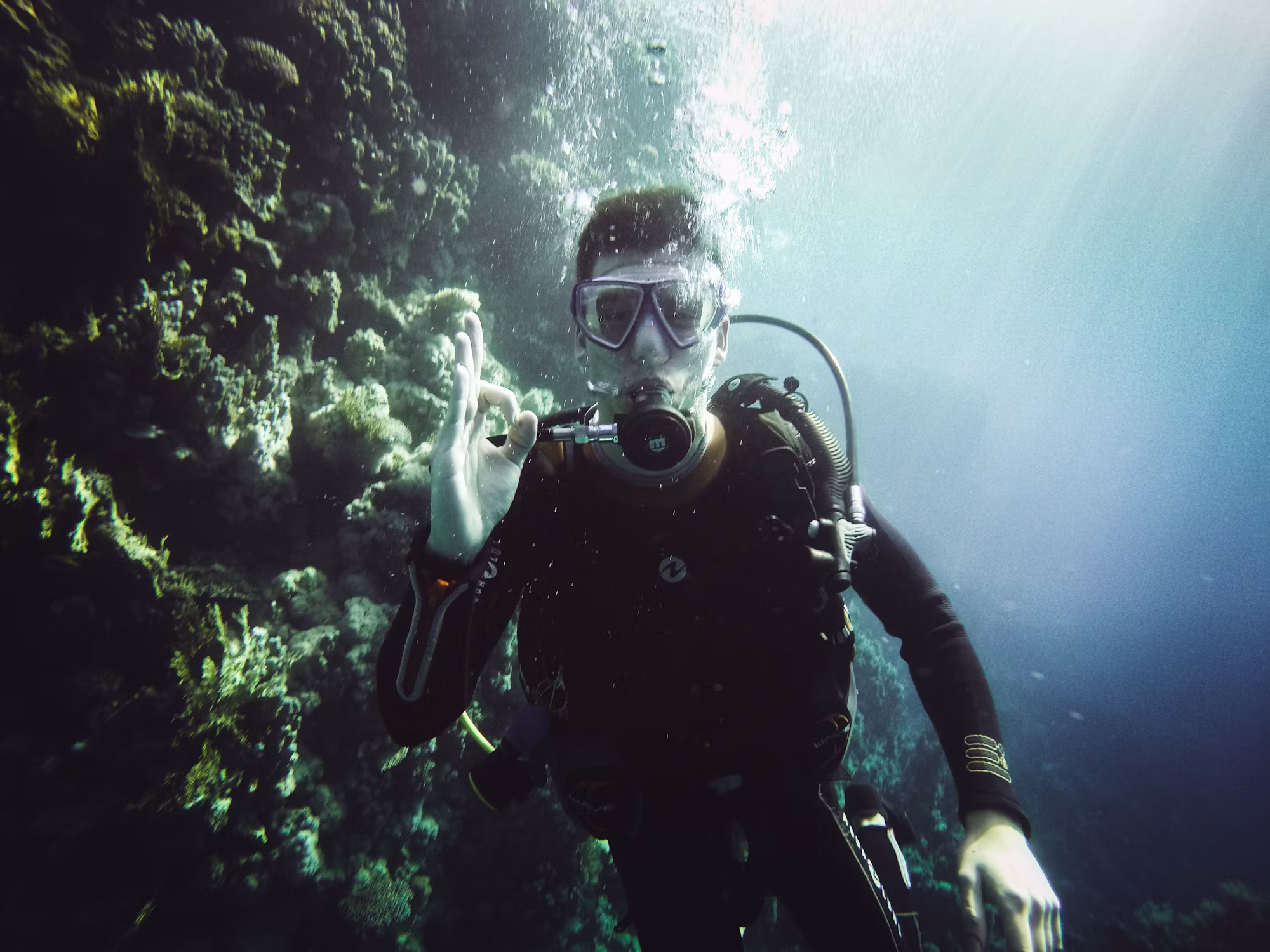 Diving into Adventure: Exploring the Depths of Marine Experiences