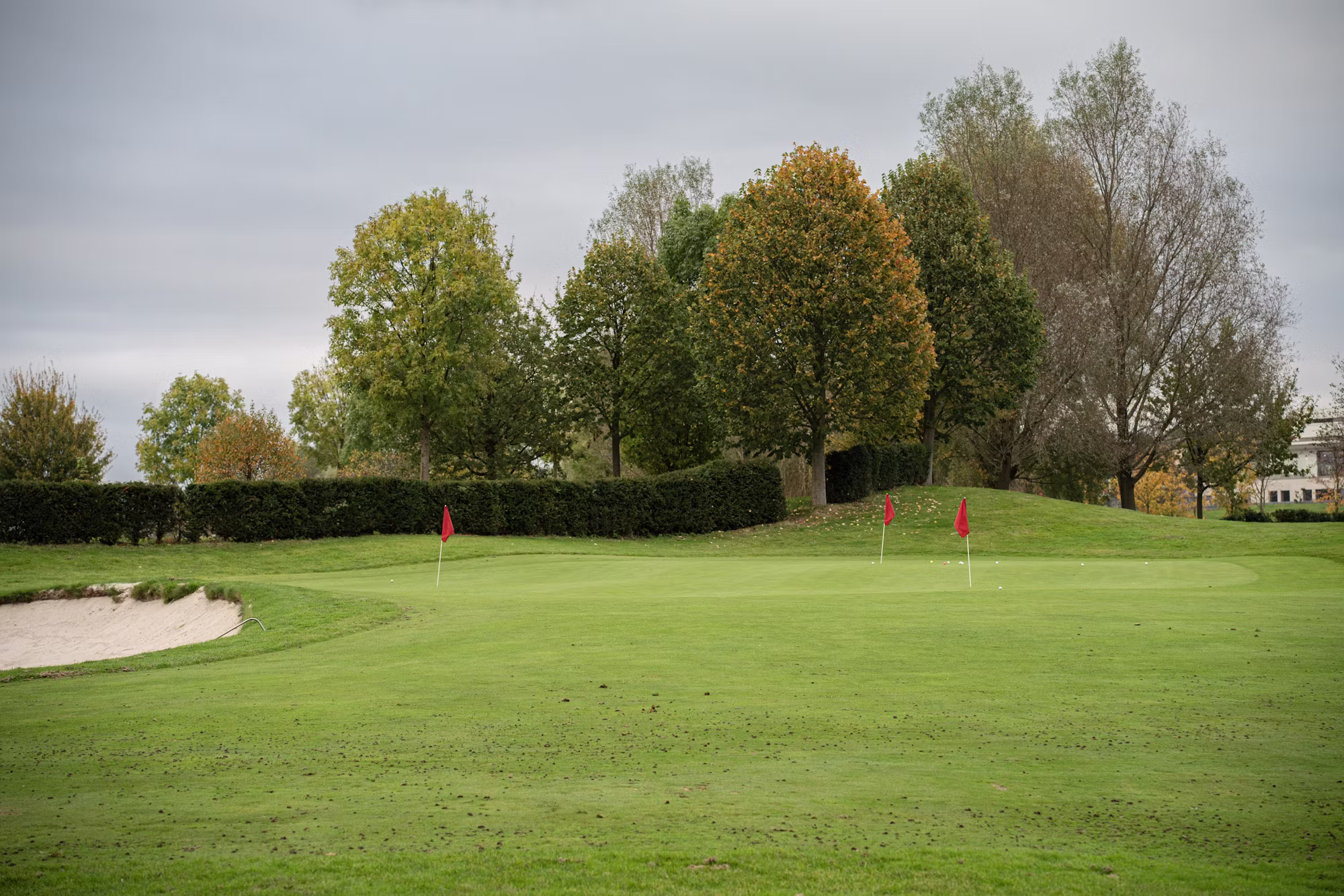 Exploring the Varied Formats of Golf: A Comprehensive Guide